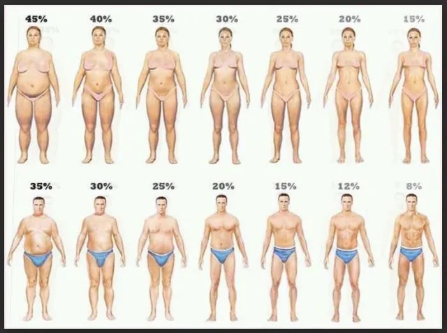 Body Fat% or BMI?  trivalleytrainerblog